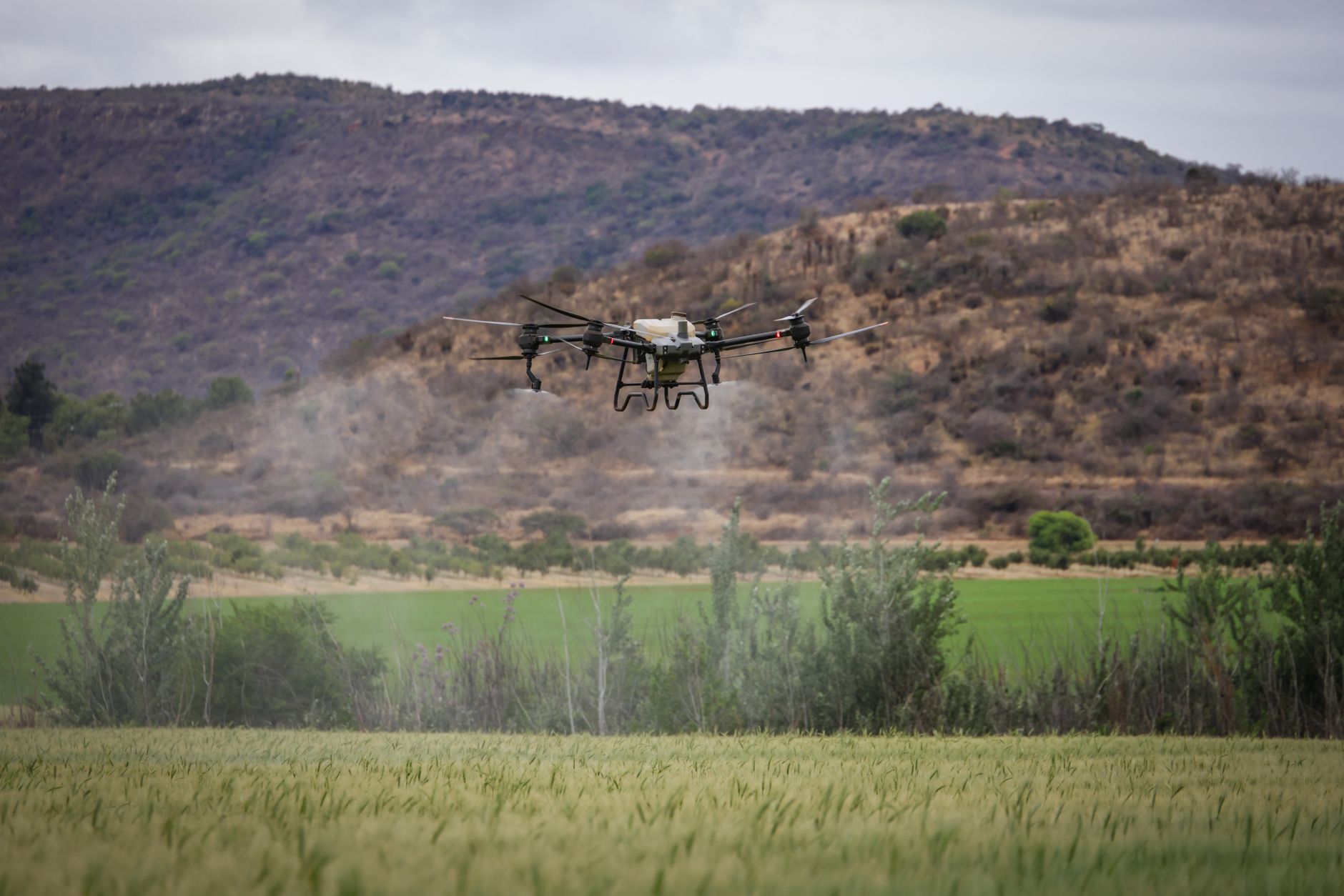 AgTech — mercado brasileiro