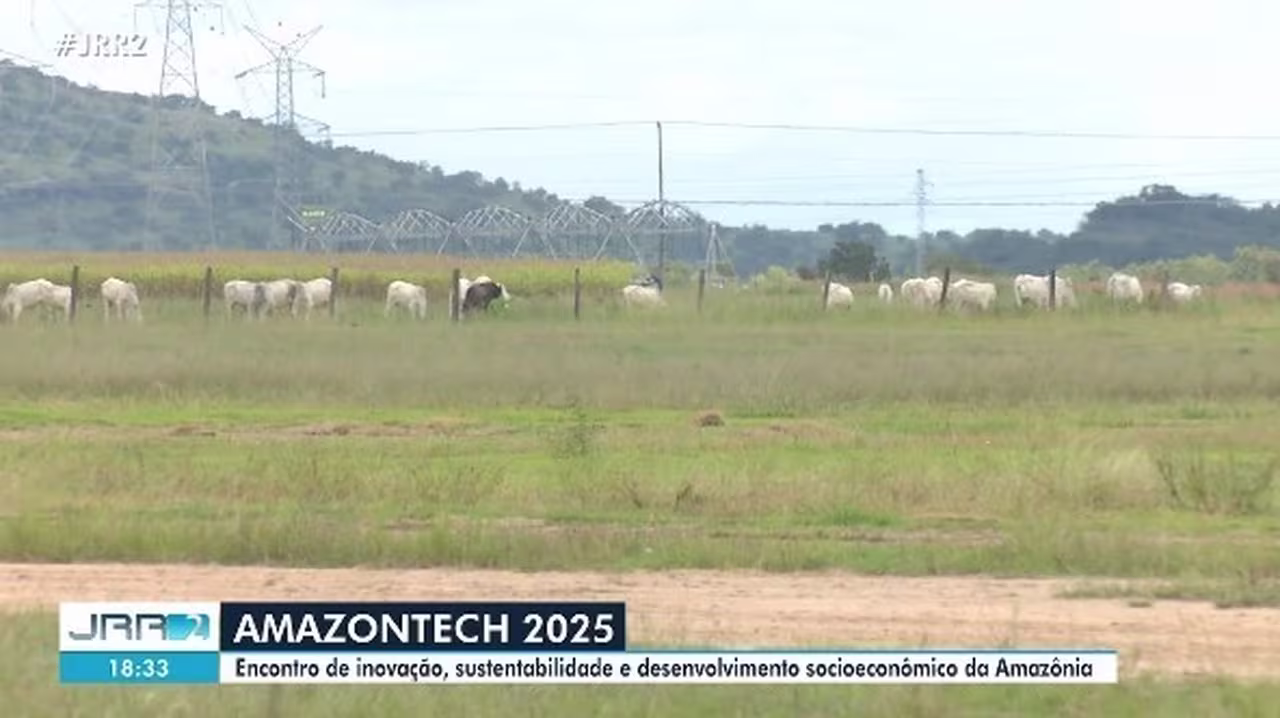 maratona de tecnologia