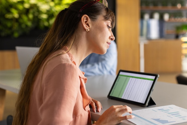 budget software justificativa - ilustração 4