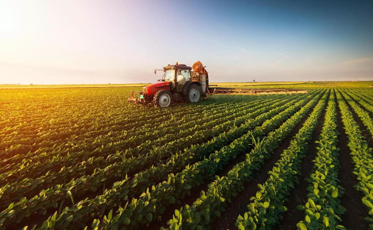 tim aposta solucoes impulsionar produtividade