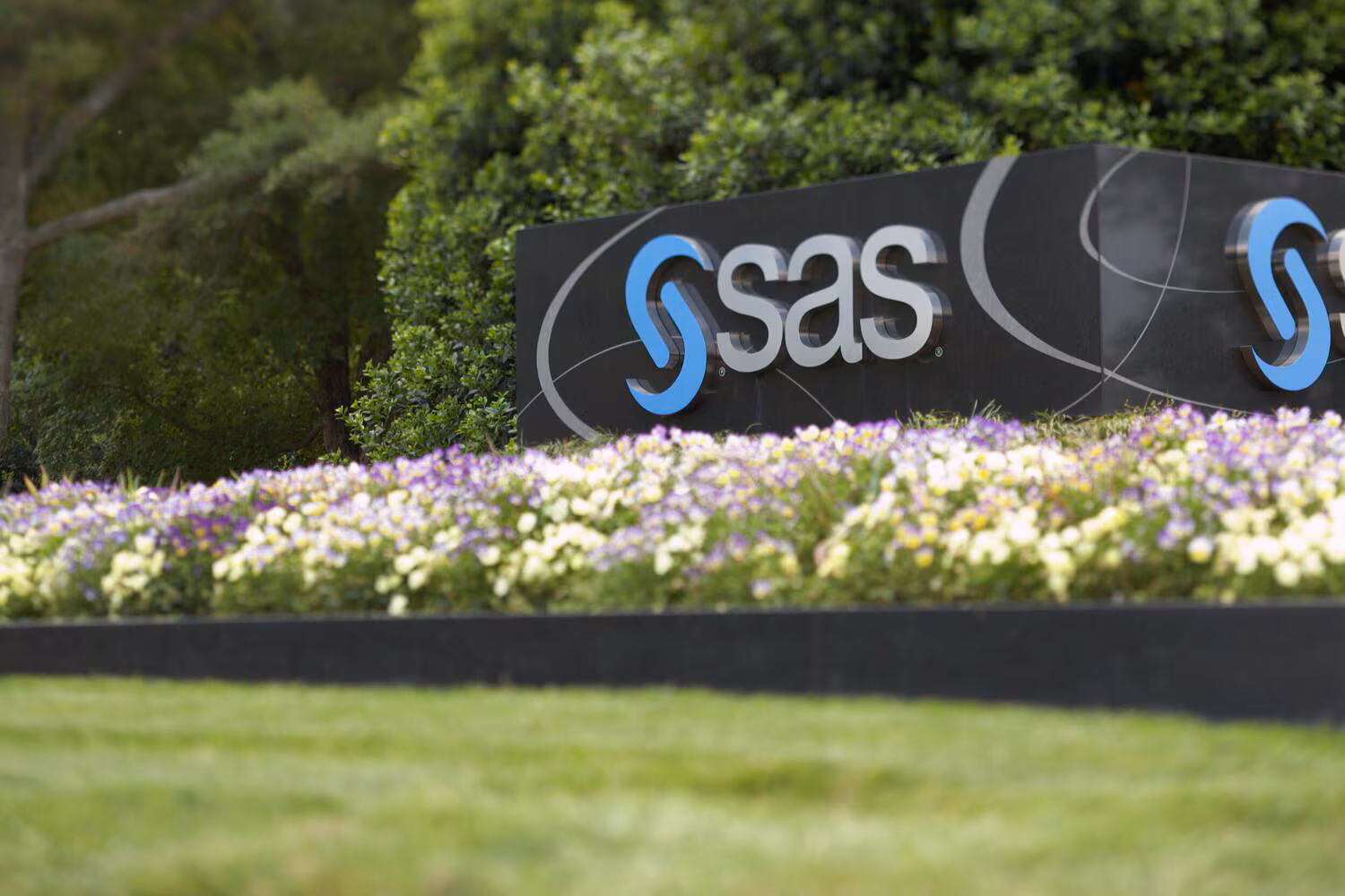 sas completa anos reforca aposta