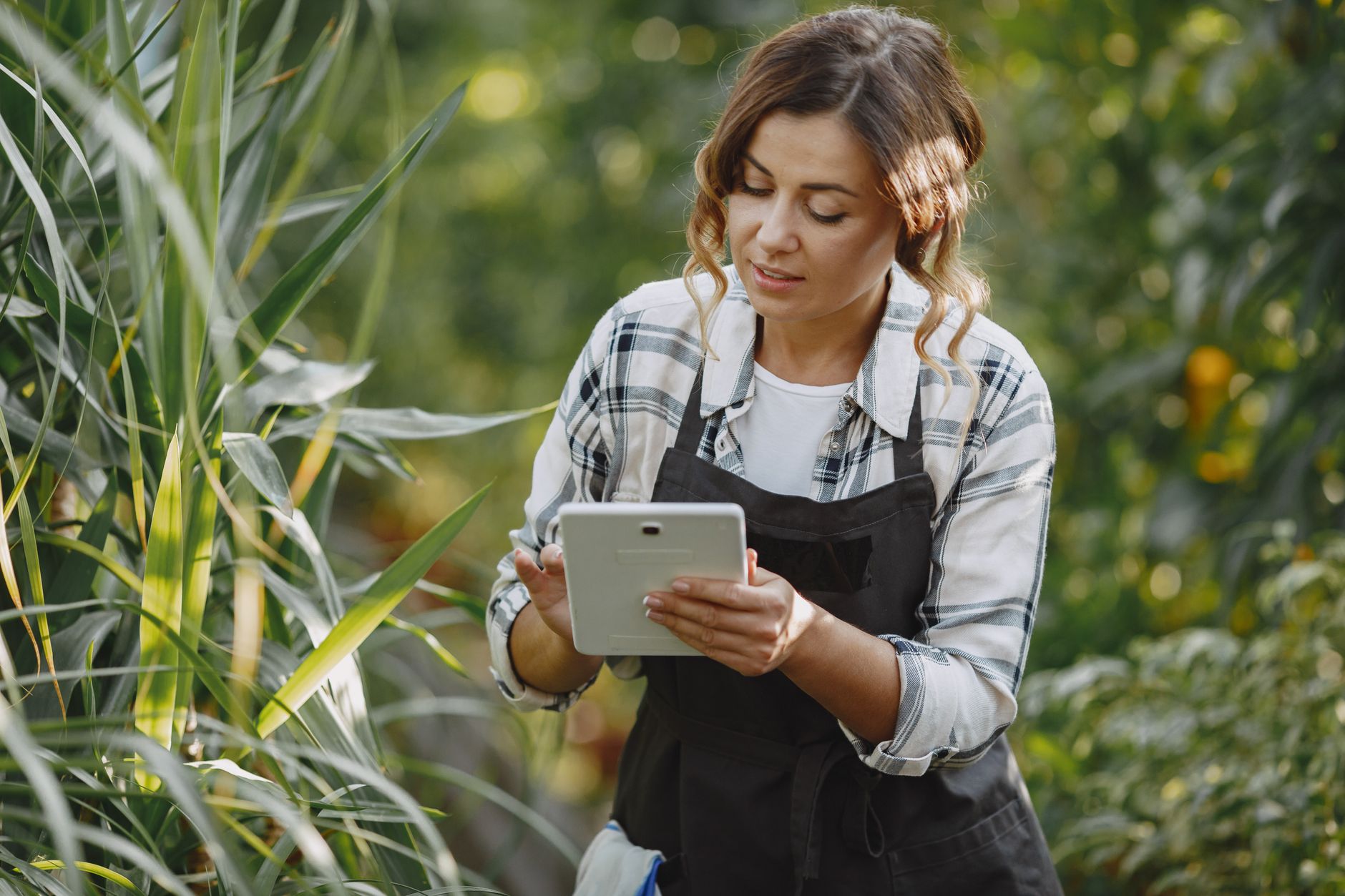 benefícios do ERP para empresas de agtech