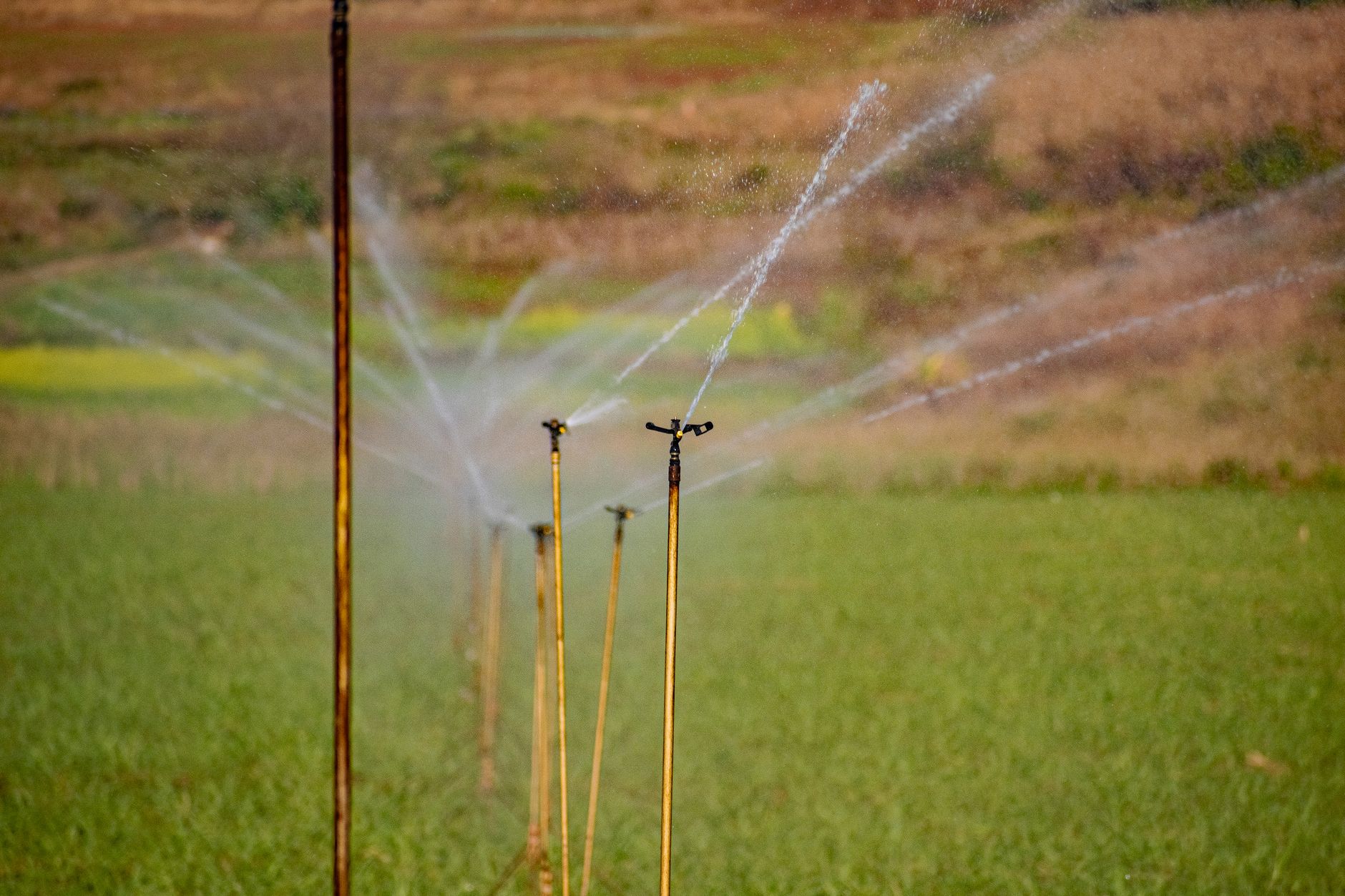 como implementar ERP em empresas de agtech