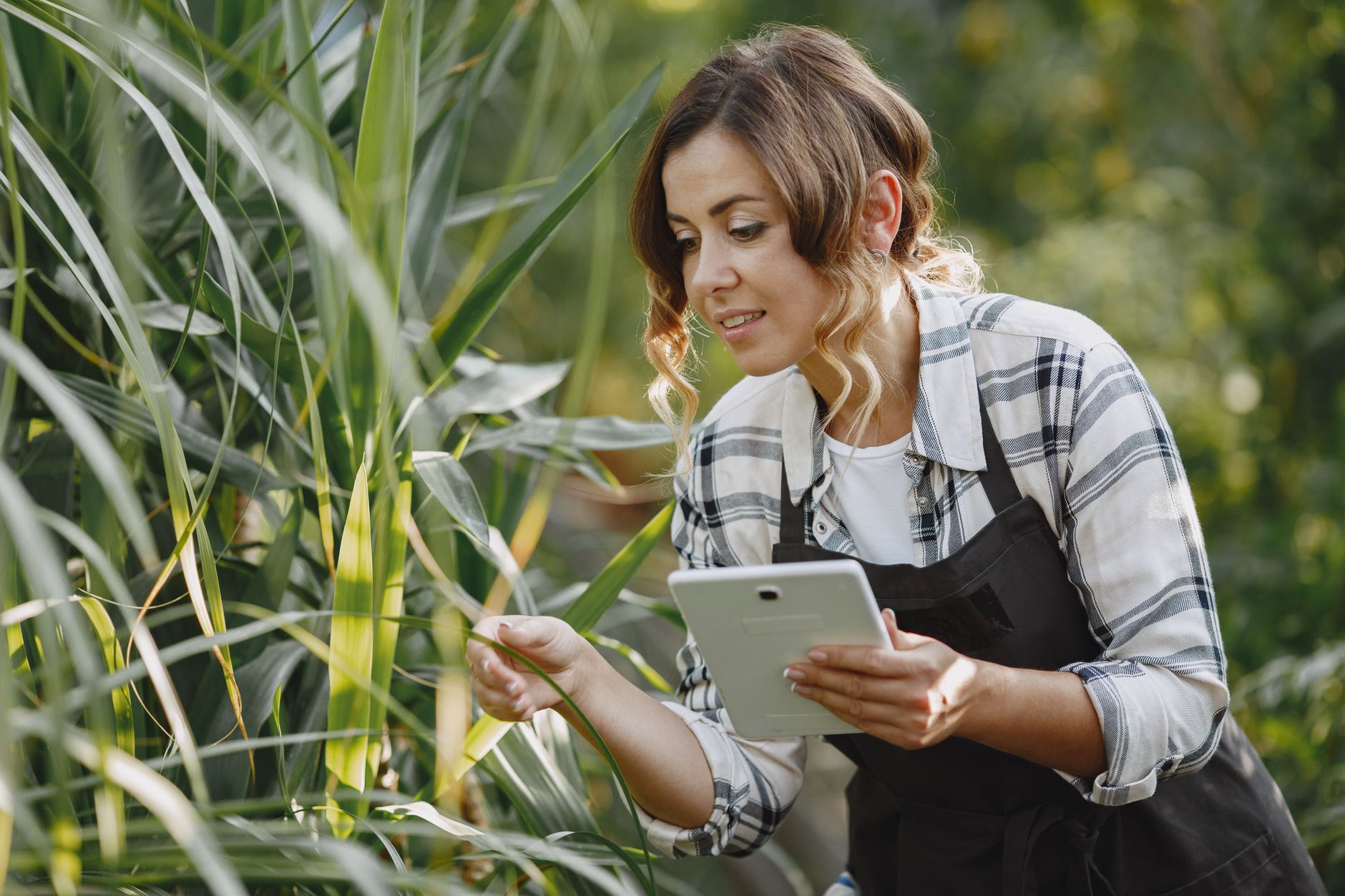 como implementar ERP para empresas de agtech