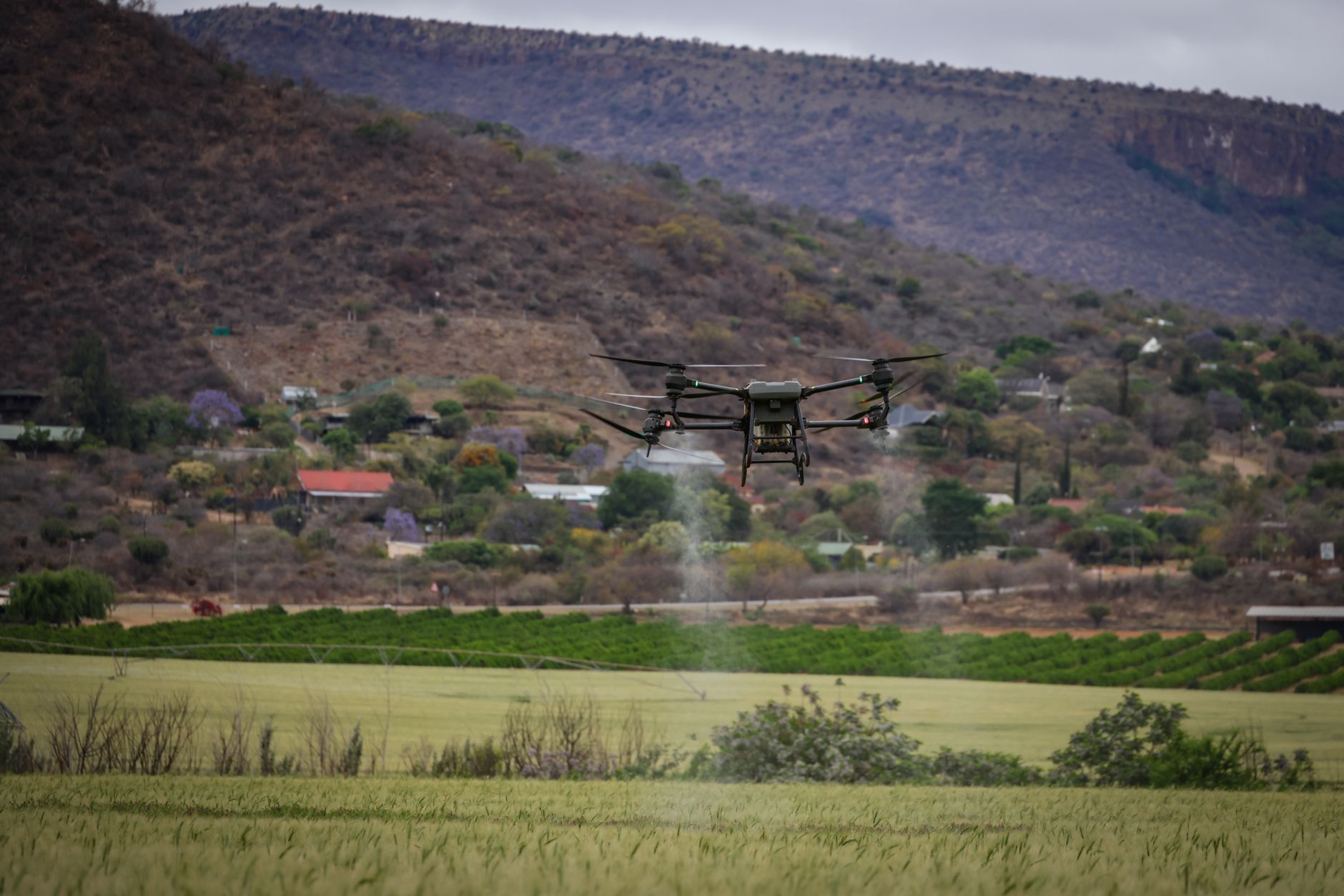 como o ERP pode otimizar empresas de agtech