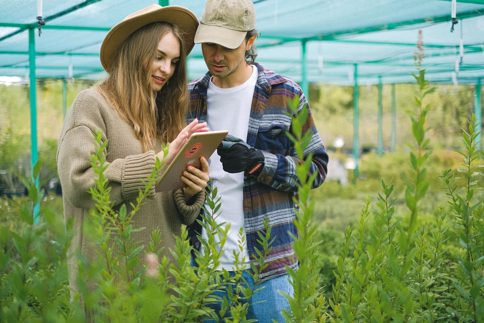 comparativo de ERPs para empresas de agtech em 2026