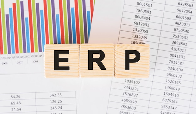 diferença erp e bi