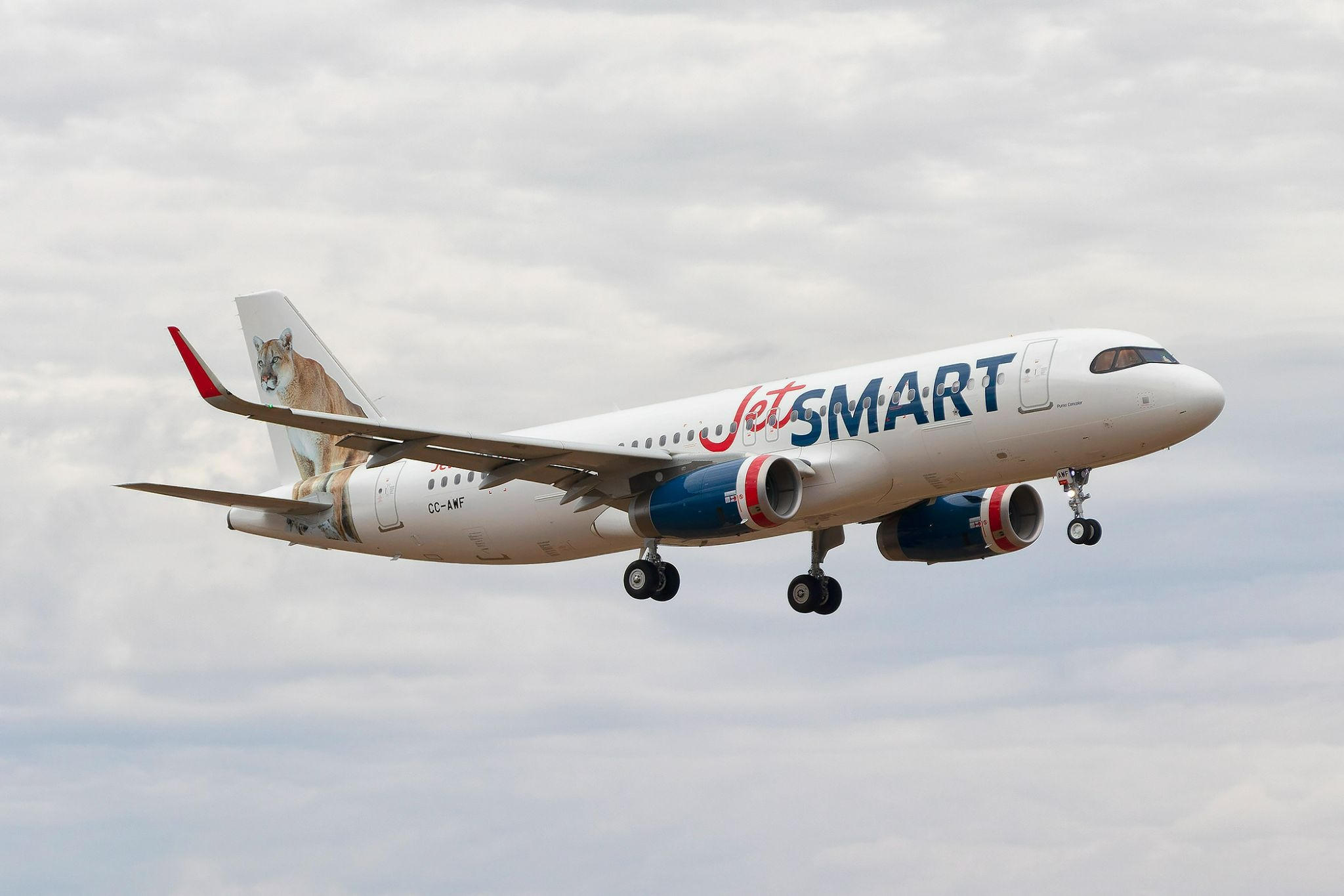 jetsmart anuncia conexao starlink bordo