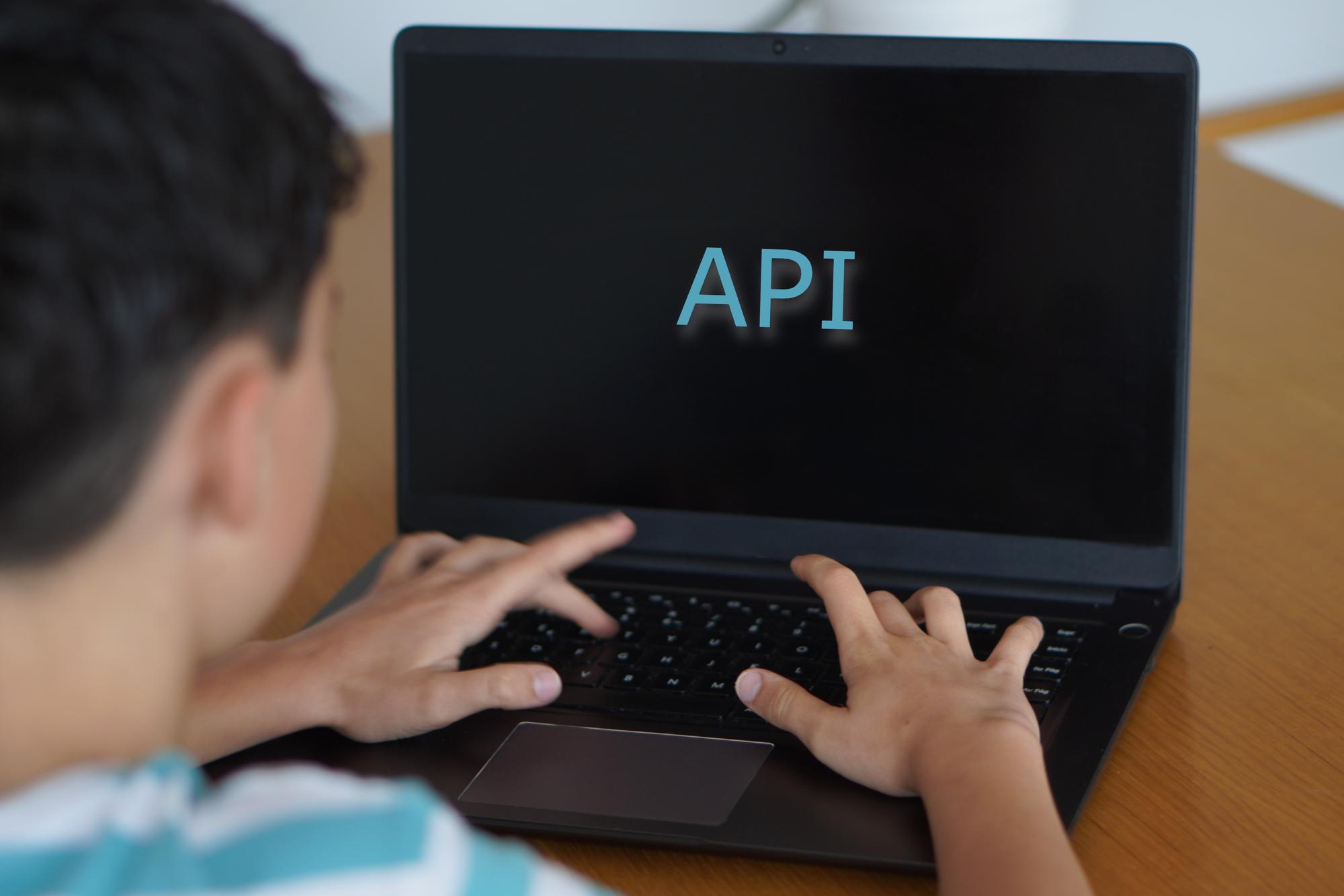 o que é API