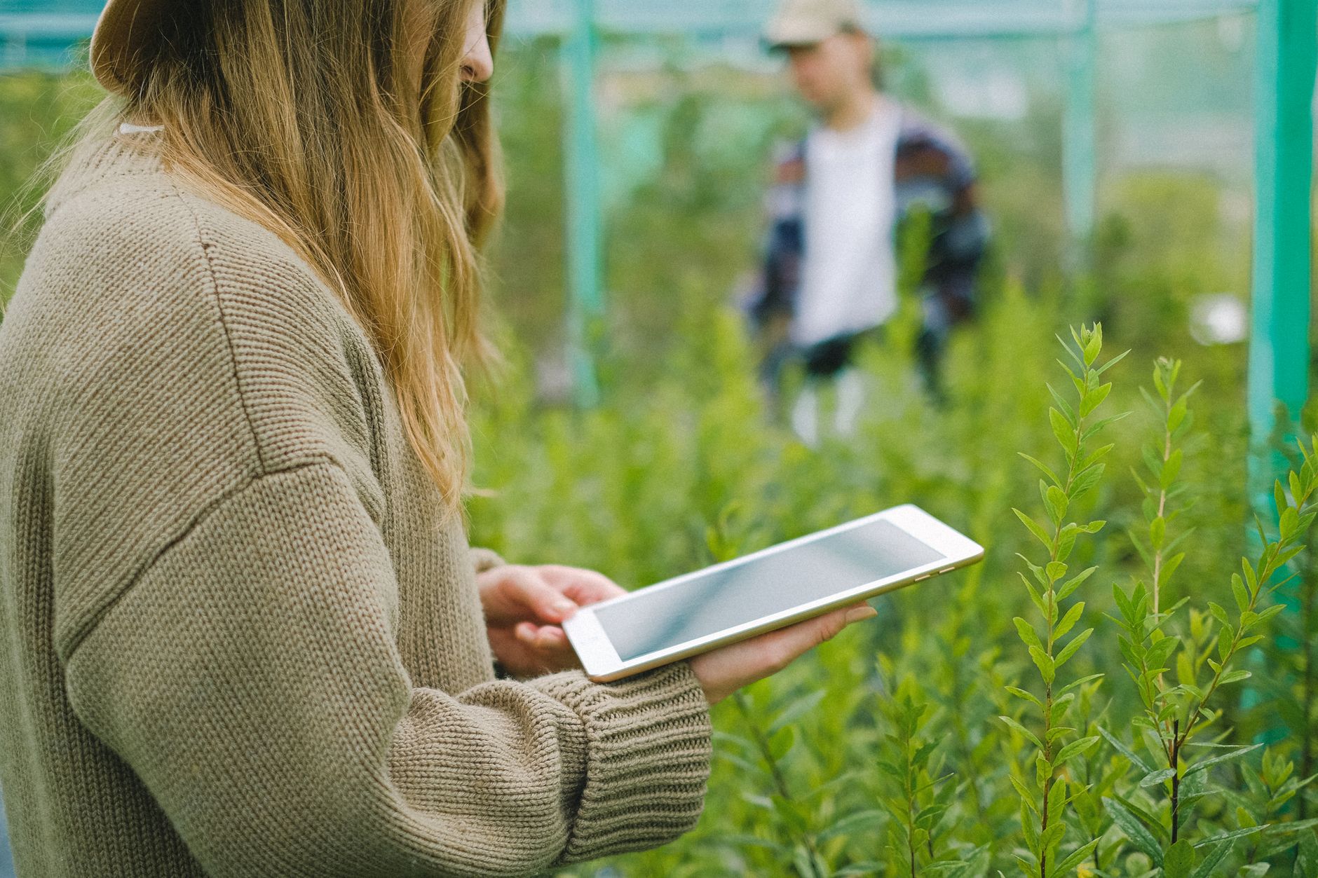 vantagens de automação de marketing para empresas de agtech